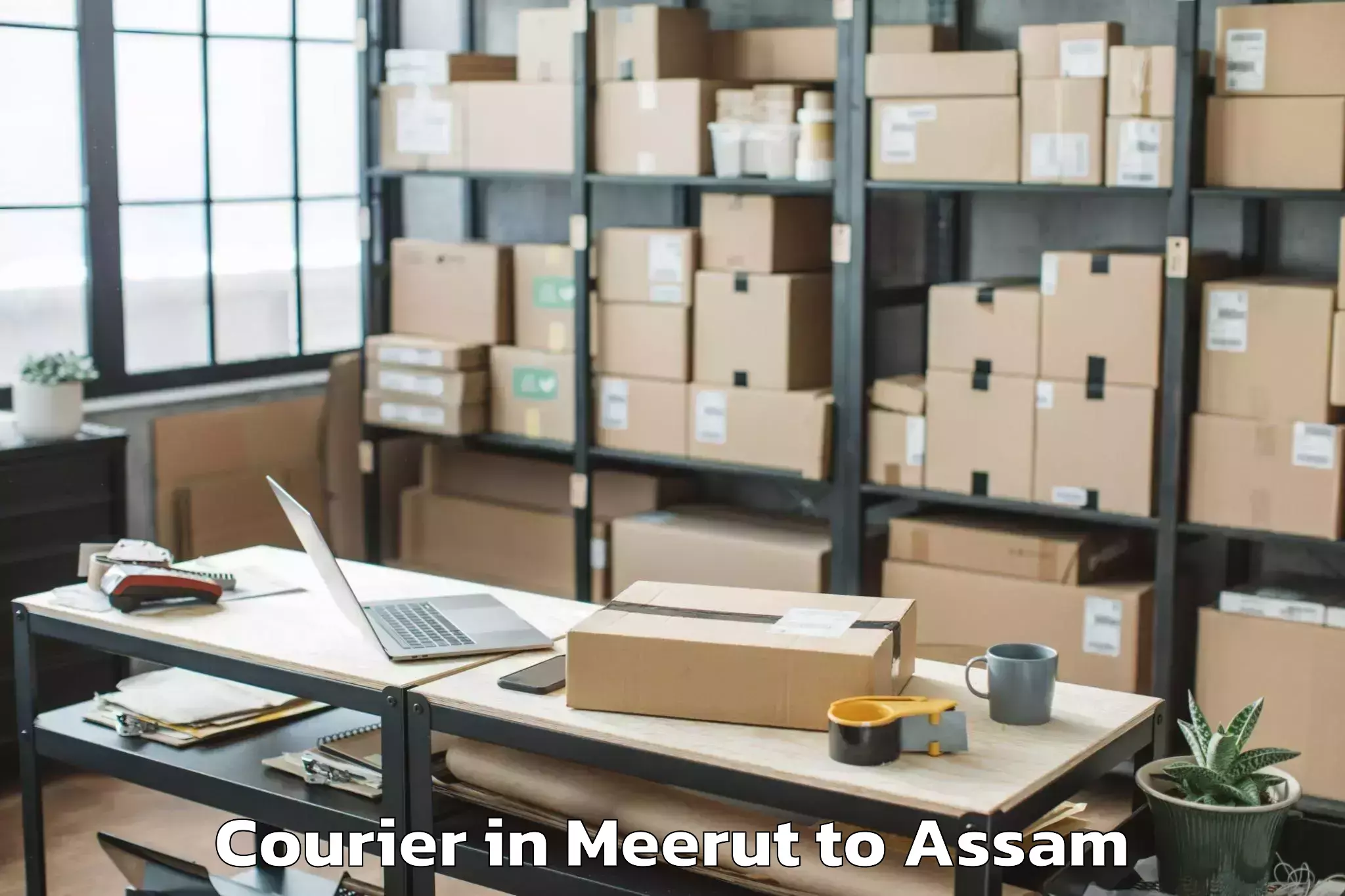 Leading Meerut to Bher Gaon Courier Provider